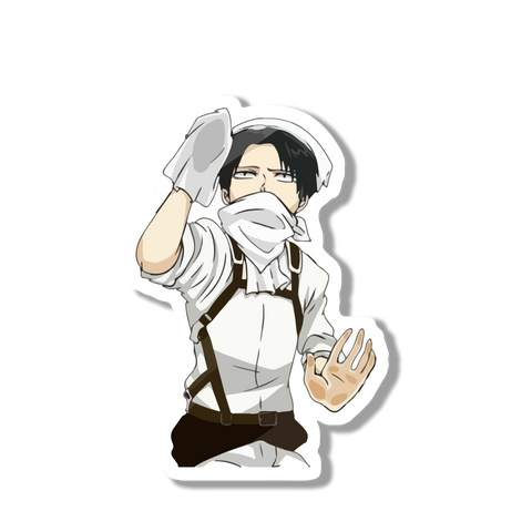 Levi Cleaning Sticker