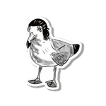 AOT Crow Sticker